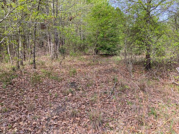 Farris 115 Timber: 00 CR 2215, Daingerfield, TX 75638